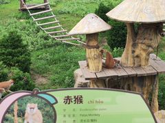 -大连森林动物园