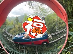 -藏龙百瀑风景区