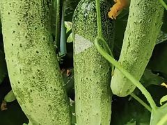 -高老庄绿色传奇(昊元生活广场店)