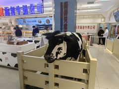 -红星前进面包牛奶公司(君太店)