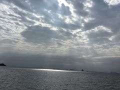 -演武大桥观景平台