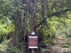 -北京密云天门山风景区
