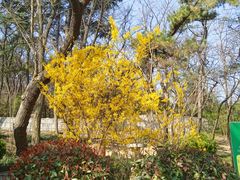 -北岭山森林公园