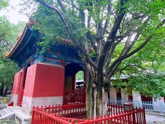 -北京国子监胡同