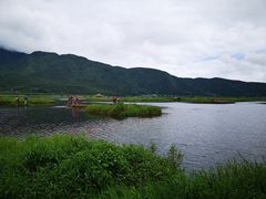 -腾冲北海湿地