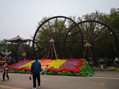 -呀路古热带植物园