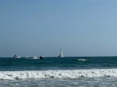 -海南清水湾莱佛士酒店