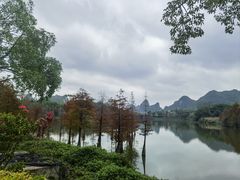 -南宁花花大世界景区