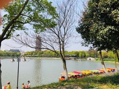 -葛仙湖公园