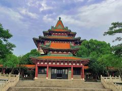 -顺峰山公园