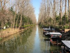 -合肥滨湖国家森林公园