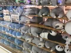 -芽庄中心购物广场