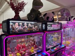 -Fang Fang Monkey·方方猴(国瑞购物中心店)