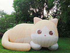 -广州兰圃