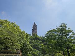 -顺峰山公园