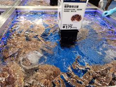 -盒马X会员店(上海森兰商都店)