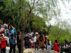 -狼牙山风景区