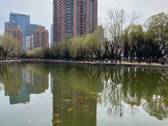 -团结湖公园