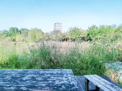 -Supine Bistro溯泮餐厅