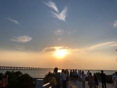 -宝安西湾红树林湿地公园