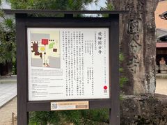 -医王山·飞騨国分寺