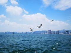 -刘公岛景区