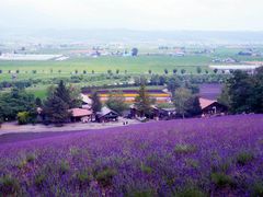 -富田农场