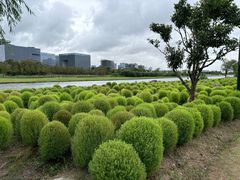 -春花秋色城市公园