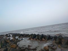 -南汇嘴观海公园