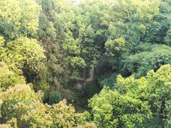 -南山植物园