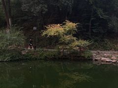 -岳麓山风景名胜区