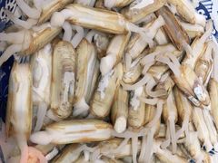 铁板肥蛏-鸽子窝(青塔店)