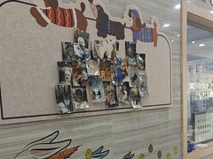 -瑞派名望志远动物医院·猫科·內科·异宠专科(直港大道店)