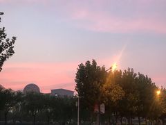 -南开大学滨海学院