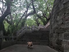 -皇藏峪国家森林公园