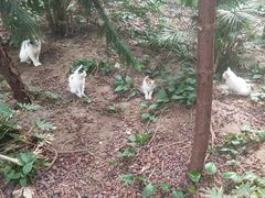 -龙达温泉生态城