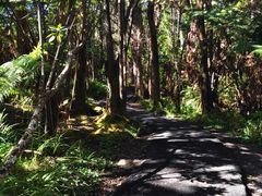 -夏威夷火山国家公园