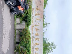 -大连天门山国家森林公园