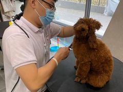 -宠爱国际动物医院(德胜门店)