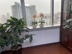 -君申律师事务所