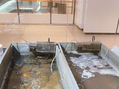 -十八字金·银饰·开蚌DIY·手工体验团建(魏公芳华里店)