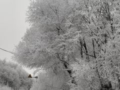 -庙香山滑雪场