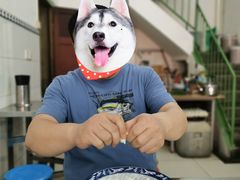 -索家卤汁凉粉店(回民街店)