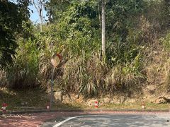 -火炉山森林公园
