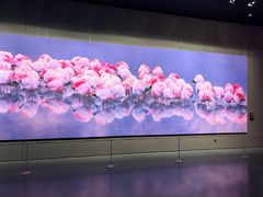 -罗红摄影艺术馆