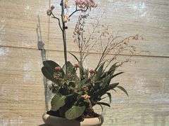 -陶醉馆·艺术雅集私宴