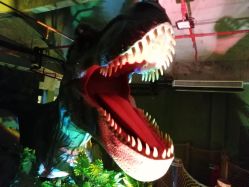 -恐龙探索乐园(磁器口店)