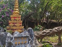 -瑞丽独树成林风景区