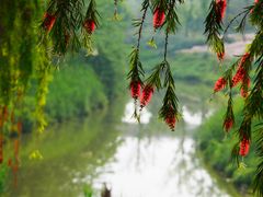 -白鹭湾湿地公园