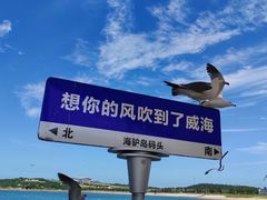 -海驴岛(荣成市)
